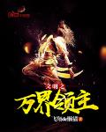 文明之万界领主精校版百度云