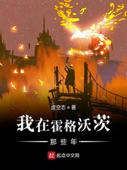 在霍格沃茨搓电焊那些年