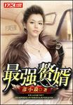 仙帝归来之最强赘婿