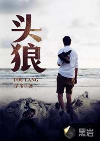 头狼小说完结