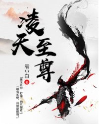 凌天至尊叶风免费阅读