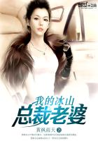 我的冰山总裁老婆杨心怡笔趣阁