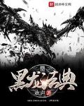 黑龙法典评测
