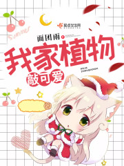 我家的植物作文400字左右