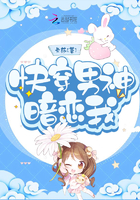 我给女神当赘婿完整版TXT
