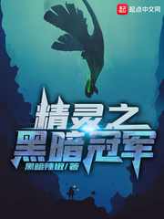 精灵之黑暗救赎百科