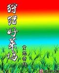 狩猎好莱坞小说全本下载