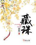 藏珠云芨TXT下载