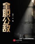 全职公敌小说