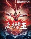 渡劫之王 txt