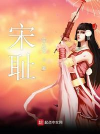 宋耻小说阅读免费下载