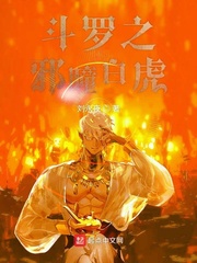 斗罗之邪虎至尊小说
