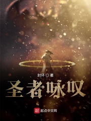 圣者epub