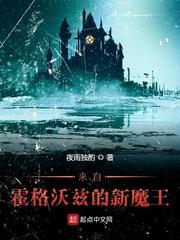 来自霍格沃兹的新魔王夜雨独酌