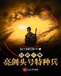 我真不是亮剑头号特种兵听书
