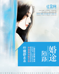 婚途陌路小说全文免费阅读