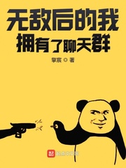 无敌以后加入聊天群的小说