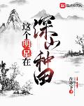 这个明星在混日子小说