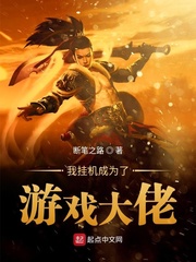 游戏挂机系统小说