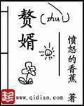 赘婿小说在线