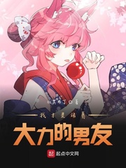 诸葛大力是我老婆小说