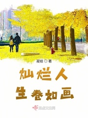 灿烂人生1
