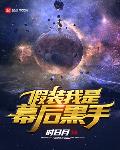 假装我是幕后黑手小说全文免费阅读