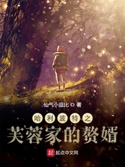收了芙蓉的哈利波特小说
