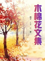 木棉花的经典句子