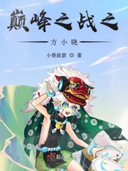 巅峰小说方