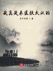 我真是来匡扶大汉的.txt