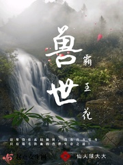 兽世空间系统