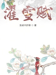 漱雪濯冰