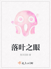 抓落叶免费阅读小说