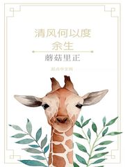 何以清欢渡是什么意思