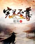 完美至尊 小说