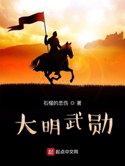 大明武勋最新章节