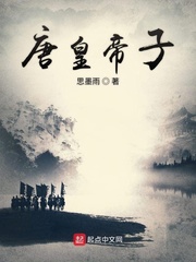 主角穿越唐代皇子小说
