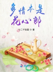 多情本是花心郎小说免费阅读无弹窗