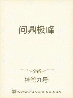 问鼎鼎峰 系列