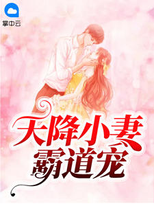 小说 天降小妻霸道宠
