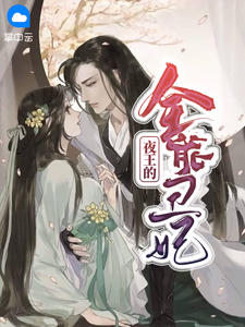 萧凉儿和夜王txt