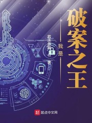 破案我是最强群众免费阅读全文
