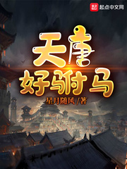 天唐好驸马女主有几个