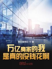 万亿家产小说