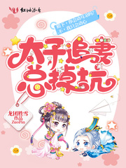 太子追夫记小说免费版