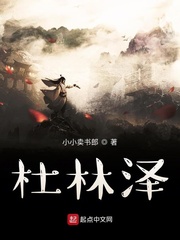 杜林楠简历