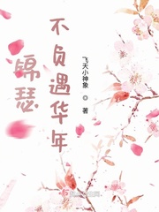 锦瑟华年小说傅冽