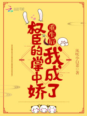 南宝衣重生后我成了权臣的掌中娇txt百度云