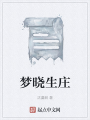 庄生晓梦 小说
